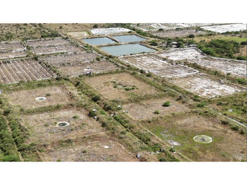 Huaquillas, El Oro, Venta terreno para camaronera 48.258 m2 5 piscinas