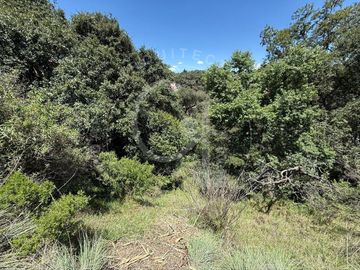 Venta de Terreno en Rancho San Juan, ZE
