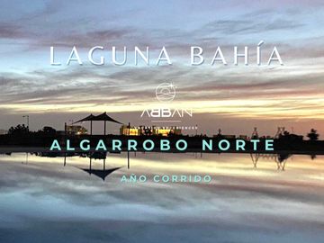 Departamento en arriendo  en ALGARROBO