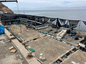 Parcela en venta  en COQUIMBO