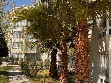 Departamento en venta  en LA FLORIDA
