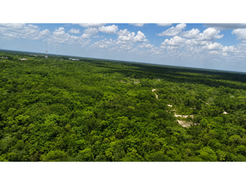 Venta de Terreno en Cancún sm 117