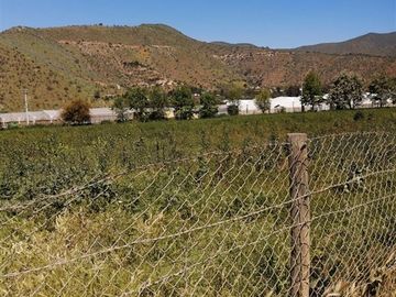 Sitio en Venta en CURACAVI LO AGUILA SECTOR SEMILLERO