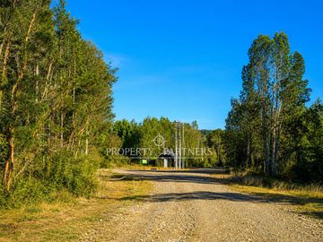 Exclusivas parcelas con verdes praderas y bosque nativo en proyecto consolidado en Llanquihue