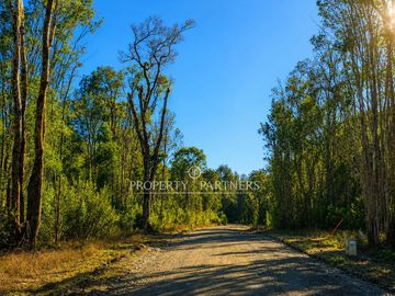Exclusivas parcelas con verdes praderas y bosque nativo en proyecto consolidado en Llanquihue