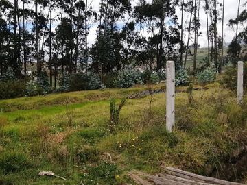 TERRENO EN VENTA en UNAMUNCHO AMBATO. 4 HECTÁREAS.