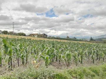 TERRENO EN VENTA en UNAMUNCHO AMBATO. 4 HECTÁREAS.