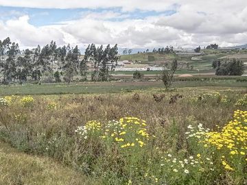 TERRENO EN VENTA en UNAMUNCHO AMBATO. 4 HECTÁREAS.