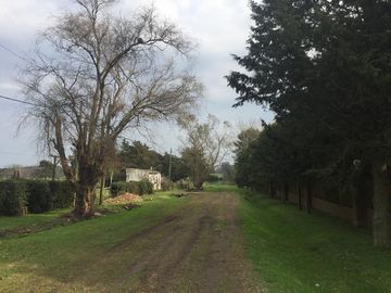 Terreno en Venta en 152/444 y 446 City Bell - Alberto Dacal Propiedades
