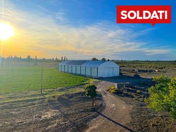 Finca en venta 30 Hectáreas Ruta 160 La Llave San Rafael Mendoza