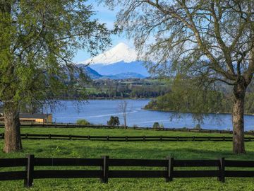 Parcela en venta  en PANGUIPULLI