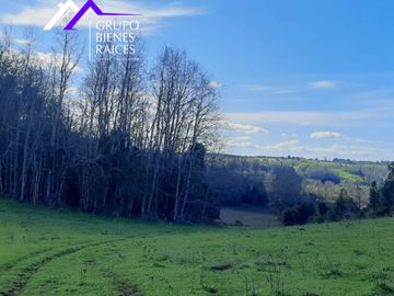 Parcela en venta  en FRUTILLAR