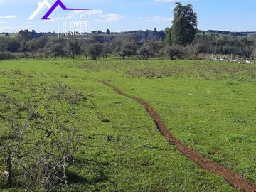 Parcela en venta  en FRUTILLAR