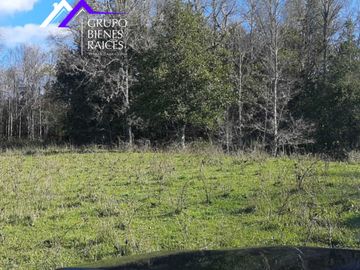 Parcela en venta  en FRUTILLAR
