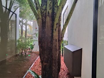 Casa en venta en Rionegro