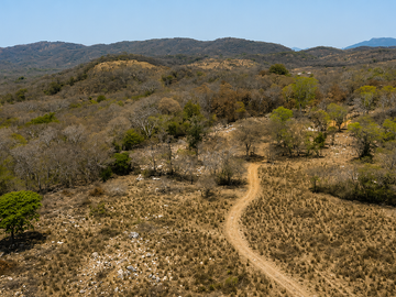 32.3 Hectares (79.8 Acres) | Southern Troncones  Land Opportunity