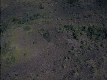 Se Vende Terreno-Cochea, Dolega, Chiriquí (LM)