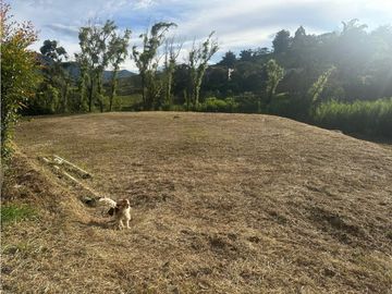 LOTE EN VENTA - EL CARMEN DE VIBORAL - VEREDA SAMARIA