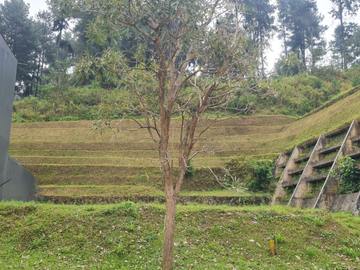 The Taman Dayu Pandaan