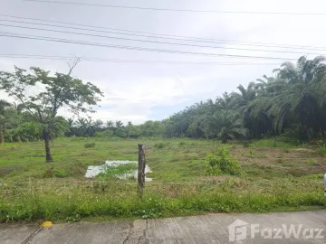 Land for sale in Suan Taeng, Chumphon