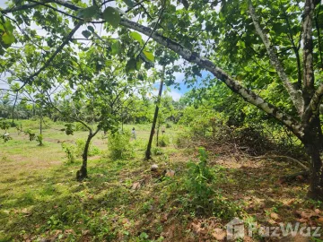 Land for sale in Suan Taeng, Chumphon