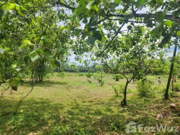 Land for sale in Suan Taeng, Chumphon
