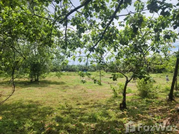 Land for sale in Suan Taeng, Chumphon