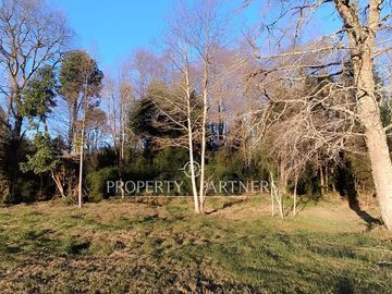 CASA Más  HECTÁREA  CON EXCELENTE UBICACIÓN PANGUIPULLI