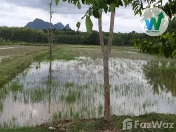 Land for sale in Makok Nuea, Phatthalung