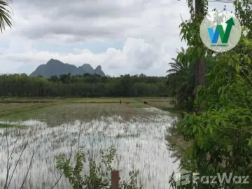 Land for sale in Makok Nuea, Phatthalung