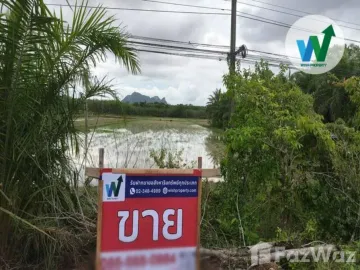 Land for sale in Makok Nuea, Phatthalung