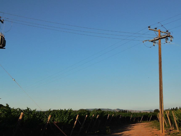 CAMPO AGRÍCOLA, VIÑEDO EN VENTA, PENCAHUE, 100 HA