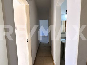 ALQUILER DEPARTAMENTO PB 3 DORMITORIOS PLOTTIER