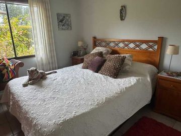 Parcela en venta  en ALGARROBO