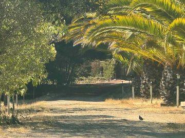Parcela en venta  en ALGARROBO