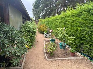 Parcela en venta  en ALGARROBO