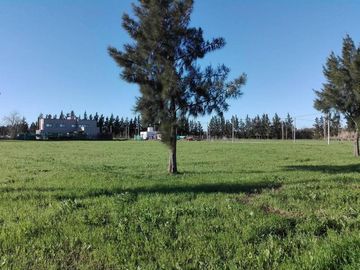 Lotes en Altos de Don Carlos - 501 y 138 - J Hernandez