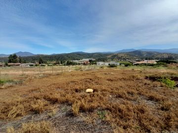 Parcela en venta  en QUILLOTA