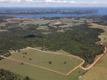 Parcela en venta  en LOS MUERMOS