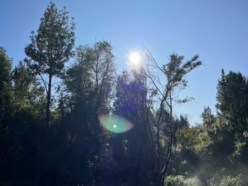 Parcela en venta  en LOS MUERMOS