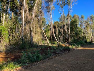 Parcela en venta  en LOS MUERMOS