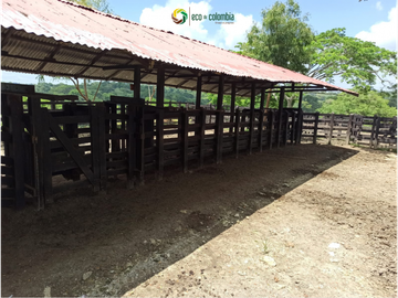 PROPIEDAD RURAL EN VENTA N788