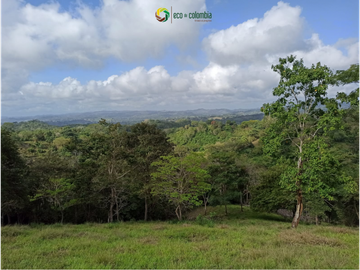 PROPIEDAD RURAL EN VENTA N788
