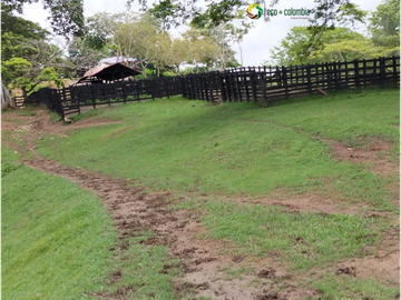 PROPIEDAD RURAL EN VENTA N788