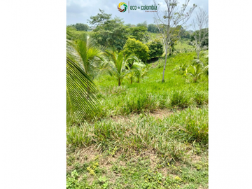 PROPIEDAD RURAL EN VENTA N788