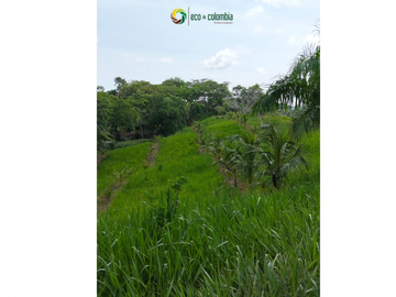 PROPIEDAD RURAL EN VENTA N788