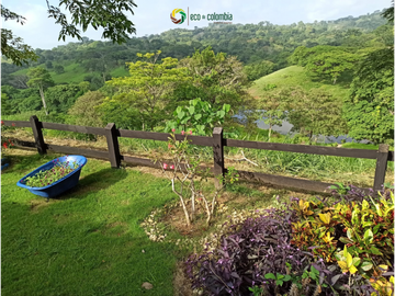 PROPIEDAD RURAL EN VENTA N788