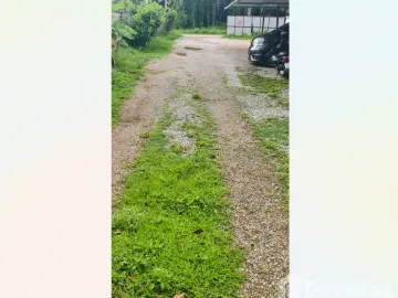 Land for sale in Tak Daet, Chumphon