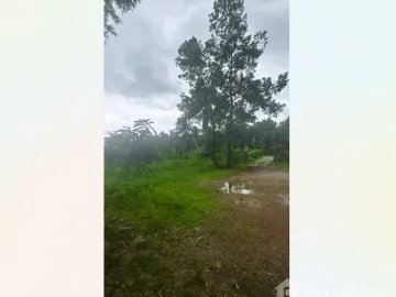 Land for sale in Tak Daet, Chumphon
