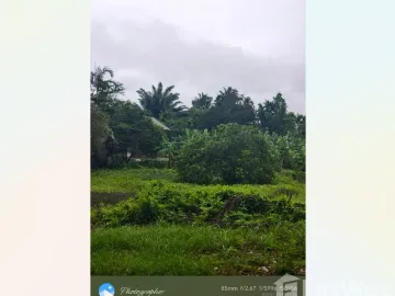 Land for sale in Tak Daet, Chumphon